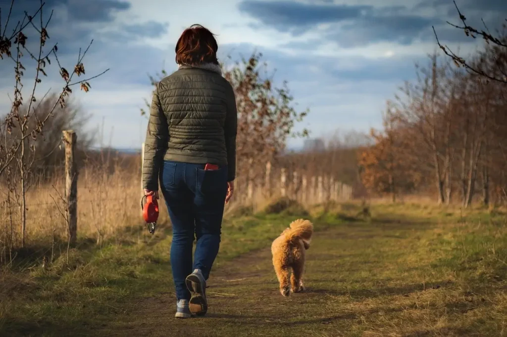 Promenade du chien